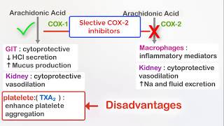 NSAIDs Ibuprofen and selective COX2 inhibitors Celecoxib [upl. by Nnyloj796]