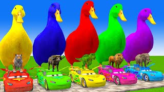 5 Giant Duck CartoonCowElephantGiraffeTigerLion Paint Wild Animals Crossing Fountain Animation [upl. by Timmy311]