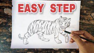 How to Draw a Tiger Step by Step [upl. by Bisset624]