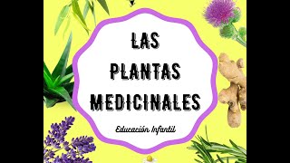 Las plantas medicinales en Educación Infantil [upl. by Anih]