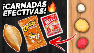 3 CARNADAS PARA PESCAR MOJARRAS pan cheetos y gelatina [upl. by Duston]