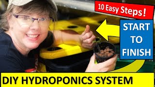 DIY Hydroponic System🌿 in 10 EASY Steps START TO FINISH [upl. by Shep]