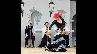 Garrotín Solo at the 2015 Victoria Flamenco Festival [upl. by Bordy]