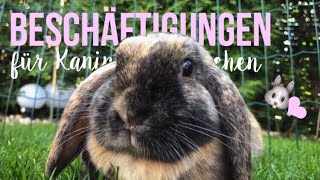 10 Beschäftigungen für Kaninchen 🐰 [upl. by Mushro]