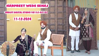 HARPREET WEDS SEHAJ 11122024 [upl. by Nivlen]