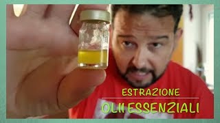 ESTRAZIONE OLIO ESSENZIALE Menta [upl. by Ithsav]