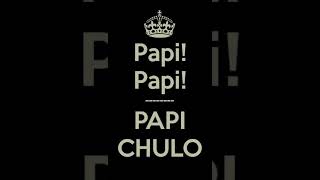 papi chulo dj t [upl. by Tiana]