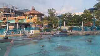 Dancing fountain at ocean park [upl. by Tchao]