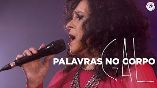 Gal Costa  Palavras no Corpo Vídeo Oficial [upl. by Yrrad]