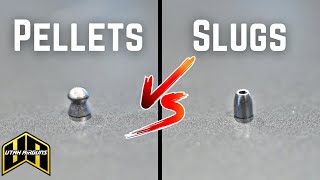 Pellets VS Slugs  Which One Is For You [upl. by Xonnel239]