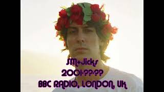 Stephen Malkmus amp The Jicks BBC RADIO 2001 FM AUDIO [upl. by Hogarth28]