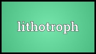 Lithotroph Meaning [upl. by Ardien873]