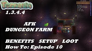 Terraria 1344 HOW TO  Build an AFK Dungeon Farm  Expert  Tips Setup Loot  Episode 10 [upl. by Orlan]