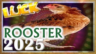 Rooster Horoscope 2025  Luck  Born 2017 2005 1993 1981 1969 1957 1945 1933 [upl. by Lerrud587]