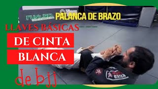 Llaves y finalizaciones que todo cinta blanca de Jiu Jitsu brasileño debería aprender [upl. by Kreit]