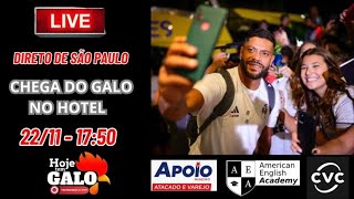 🚨AO VIVO🚨 CHEGADA DO GALO EM SÃO PAULO [upl. by Aihsotan]