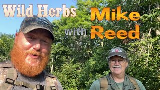 Finding Medicinal Herbs and Wild Edibles with Mike Reed Outdoors [upl. by Anyela375]