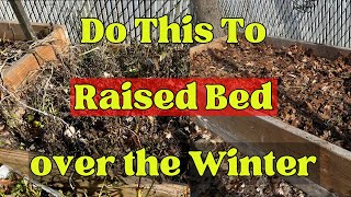 Do This To Your Raised Beds Over Winter Reasons to Cover Raised Garden Bed Over The Winter [upl. by Rebmyk]