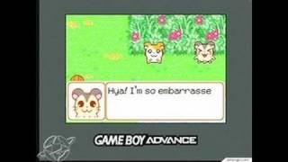 Hamtaro HamHam Heartbreak Game Boy Gameplay [upl. by Benilda]