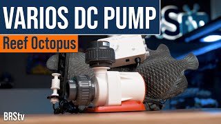 Our Highest Rated DC Return Pump or Reactor Pump For Reef Tanks Reef Octopus Varios DC Pumps [upl. by Kumar800]