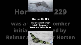 Horten Ho 229 Worlds frist stealth jet bomber [upl. by Cinamod780]