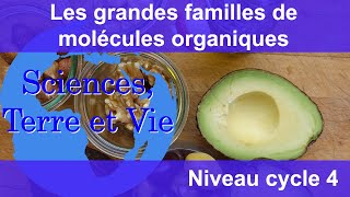 Les grandes familles de molécules organiques [upl. by Adnawaj45]