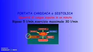 Apparato cardiocircolatorio terza parte [upl. by Hock499]