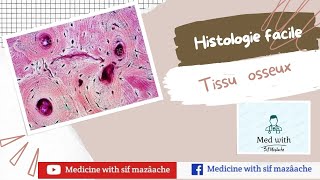 5 Le Tissu osseux  Histologie 1ère année MED [upl. by Hulbert]