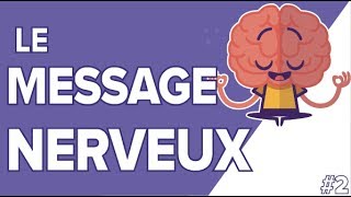 Message Nerveux 2 SVT Terminales S  Mathrix [upl. by Sidney63]