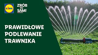 Jak prawidłowo podlewać trawnik TUTORIAL Zrób to sam z Parkside  LIDLPL [upl. by Auhel]