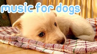 15 Hours of Anti Anxiety Music for Dogs NEW 2019 [upl. by Myca]