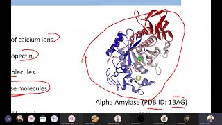 Production of Amylase Catalase Peroxidase Lipase Protease [upl. by Enrica]