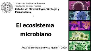 El mundo microbiano parte 2 El ser humano y su medio 2020 [upl. by Atika475]