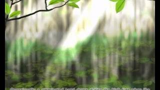 Mangrove Forests amp Vivipary [upl. by Konyn]