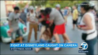 Violent brawl at Disneylands Toontown caught on video I ABC7 [upl. by Imuy54]