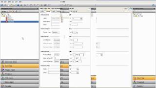 Red Lion´s Crimson 30 Data Logging using Data Station Plus and Crimson 30 [upl. by Anali15]