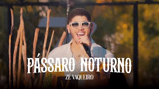 Pássaro Noturno  Zé Vaqueiro [upl. by Ytsirc]