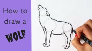 Beginners  How to Draw a Wolf [upl. by Matlick733]