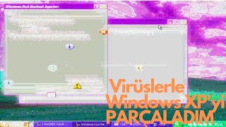 3 Tehlikeli Virüsle Windows XPyi PARÇALADIM [upl. by Ynettirb]