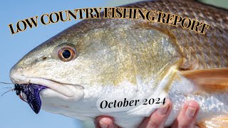 Low Country Fishing Report for November [upl. by Anha218]