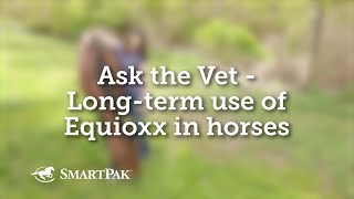 Ask the Vet  Longterm use of Equioxx in horses [upl. by Pancho]