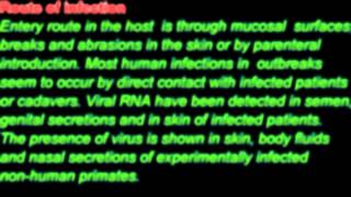 PCR Test for detection and treatment of Ebola Virus Genekam [upl. by Dedra]