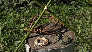 Survival cordage  4 ways of quick natural cordage [upl. by Ayocat315]