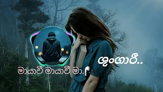 shungari best sinhala song ශුංගාරි sachee beat Yt song 🎧🎧 [upl. by Gally814]