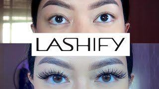 HOW I USE LASHIFY IN UNDER 5 MINUTES NEVER GETTING LASH EXTENSIONS AGAIN [upl. by Anaud911]