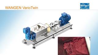 Wangen Vario Twin [upl. by Cantu446]