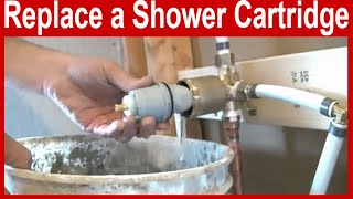 How to Replace a Delta Shower Cartridge [upl. by Celene]