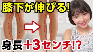 【身長を伸ばす方法】3つのストレッチで膝下を伸ばして身長もUP！【O脚・X脚改善】 [upl. by Shelton597]