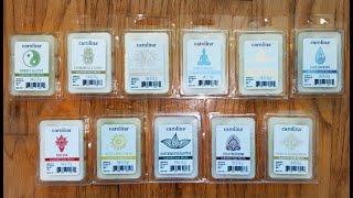 Carolina Candles Walmart Wax Melts Reviews [upl. by Fae]