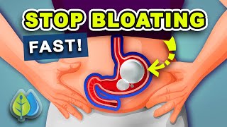 5 Ways to STOP Bloating Fast  How to Get Rid of Belly Bloating Fast [upl. by Mikol]